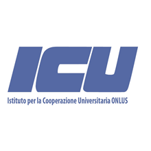 Institute for University Co-operation