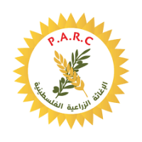 منصة جوبي