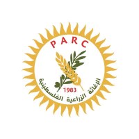 منصة جوبي