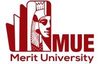 جامعة ميريت