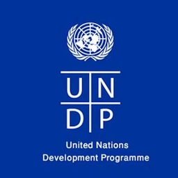 UN Development Programme Logo